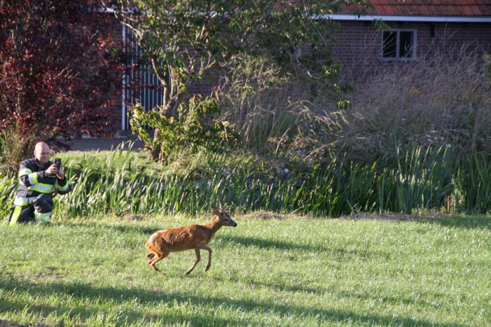 Ree bevrijdt onder boothuis