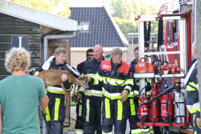 Ree bevrijdt onder boothuis