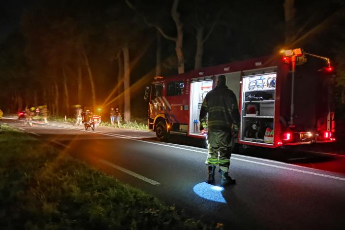 Auto's beschadigd nadat ze op afgebroken tak botsen