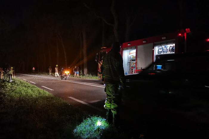 Auto's beschadigd nadat ze op afgebroken tak botsen