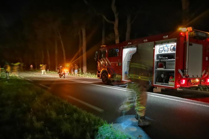 Auto's beschadigd nadat ze op afgebroken tak botsen