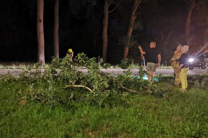 Auto's beschadigd nadat ze op afgebroken tak botsen