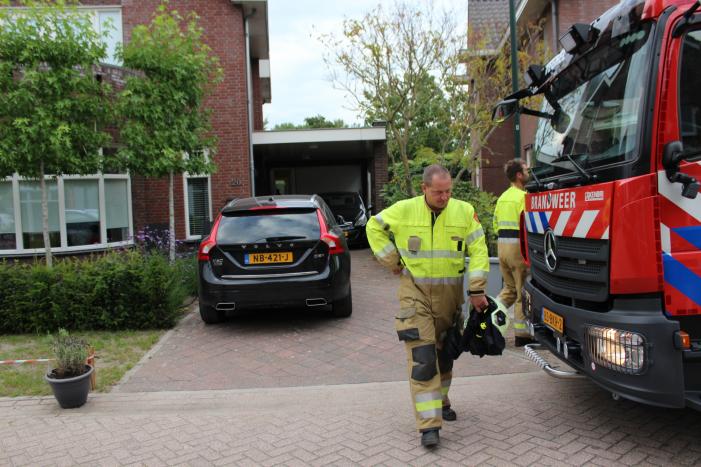 Kat springt uit de boom bij reddingsactie