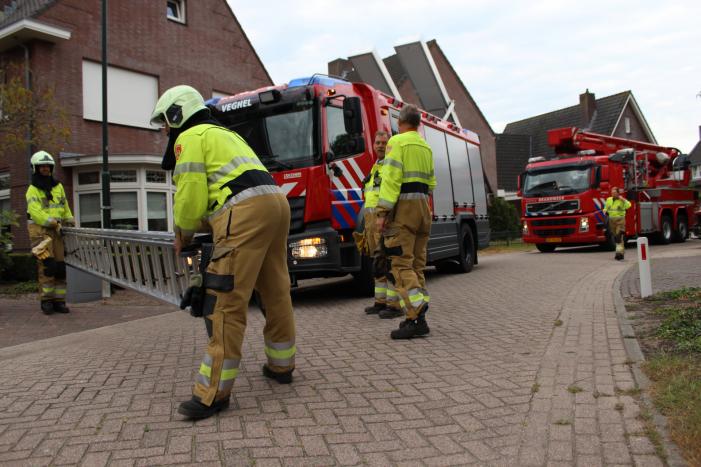 Kat springt uit de boom bij reddingsactie