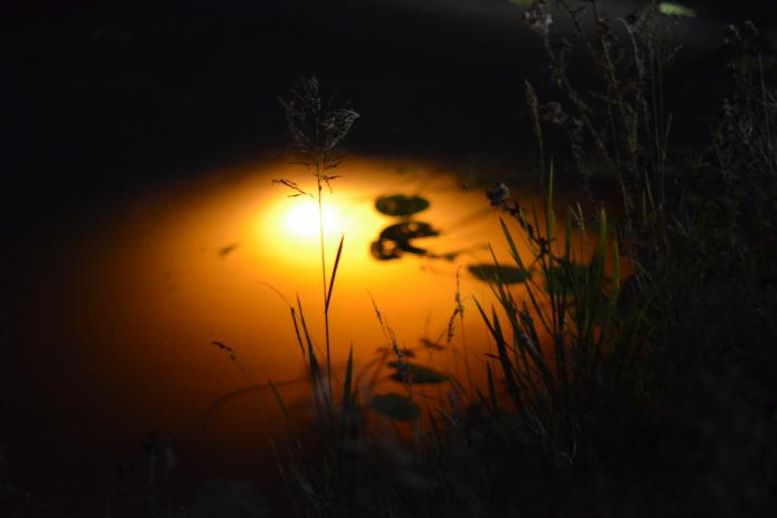 Auto raakt van de weg belandt in Aarkanaal