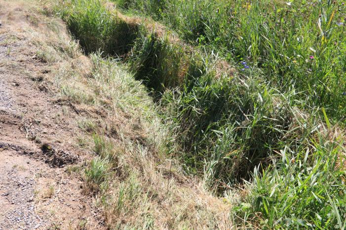 Bestelbus belandt in droge sloot