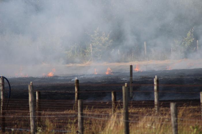 Meerdere weilanden in brand
