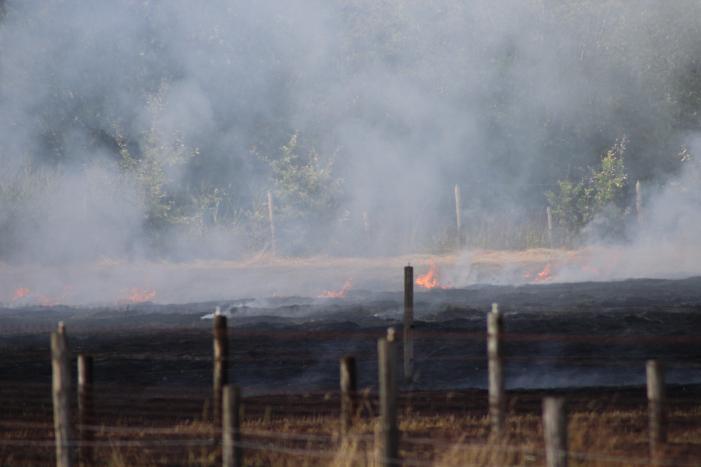 Meerdere weilanden in brand