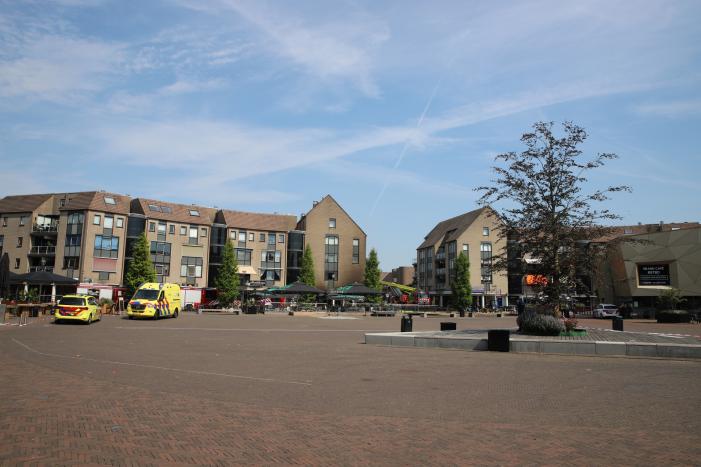 Grote brand Domino's Pizza