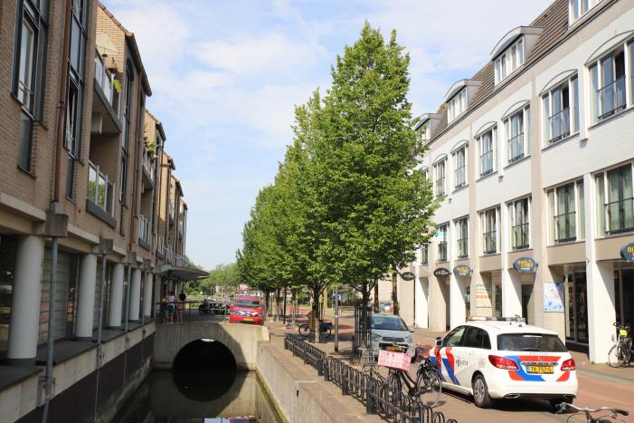 Grote brand Domino's Pizza