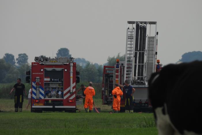 Paard raakt te water