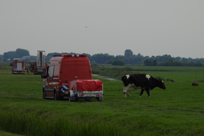 Paard raakt te water