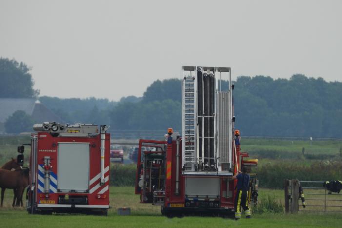 Paard raakt te water