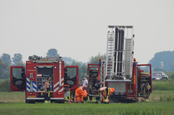 Paard raakt te water