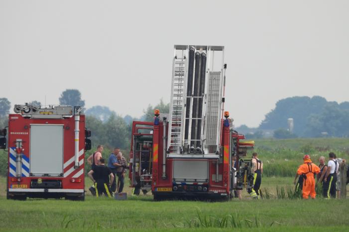 Paard raakt te water