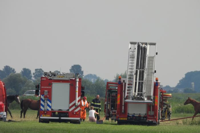 Paard raakt te water