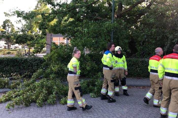 Enorme tak flinke boom breekt af