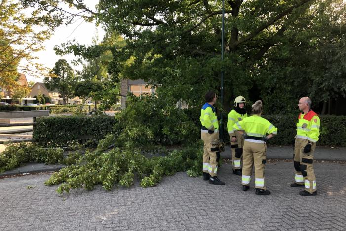 Enorme tak flinke boom breekt af