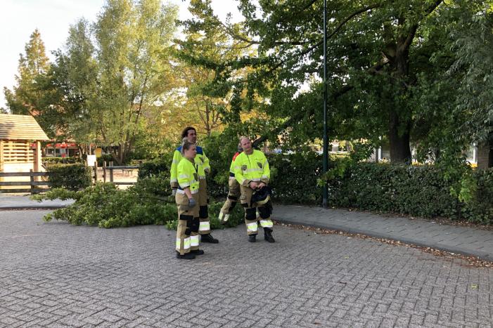 Enorme tak flinke boom breekt af