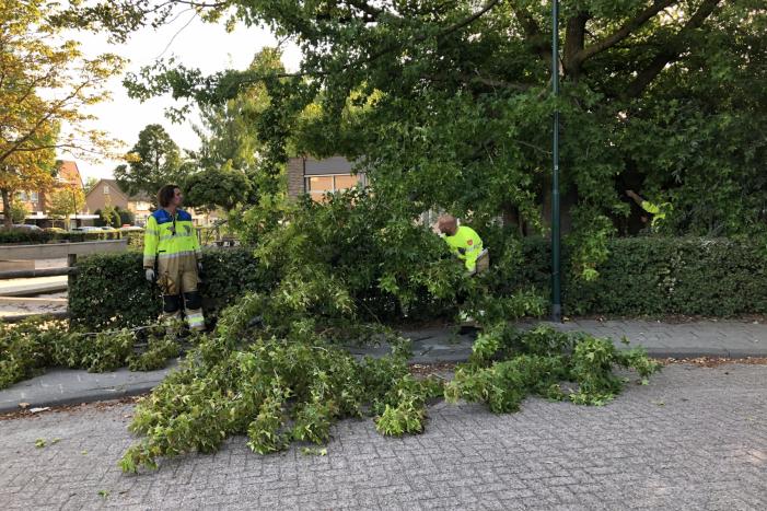 Enorme tak flinke boom breekt af