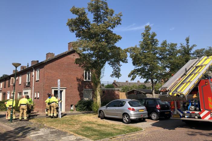 Kat gewond nadat deze uit boom werd gespoten