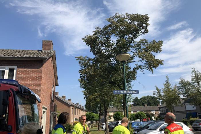 Kat gewond nadat deze uit boom werd gespoten