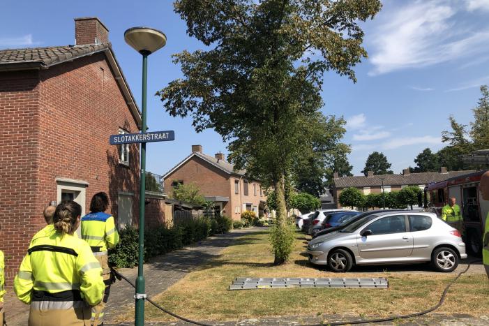 Kat gewond nadat deze uit boom werd gespoten