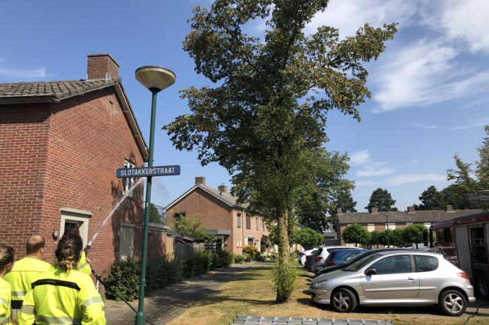 Kat gewond nadat deze uit boom werd gespoten