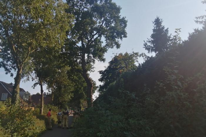Gevaarlijk hangende tak boven woning verwijdert
