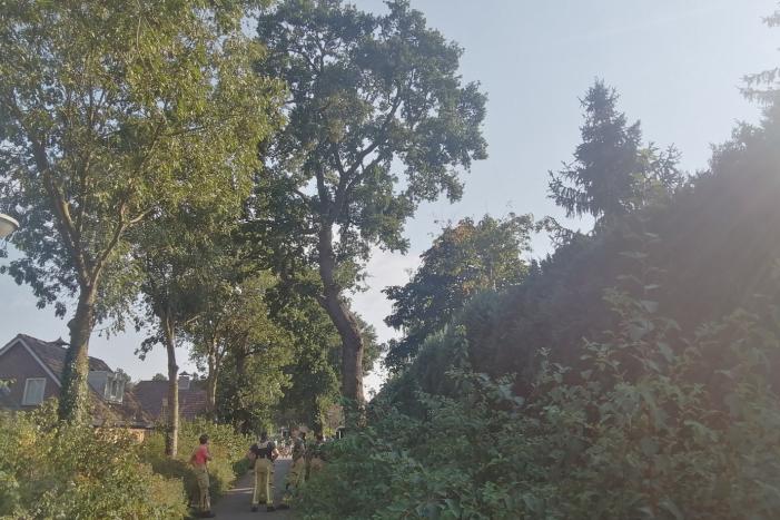 Gevaarlijk hangende tak boven woning verwijdert