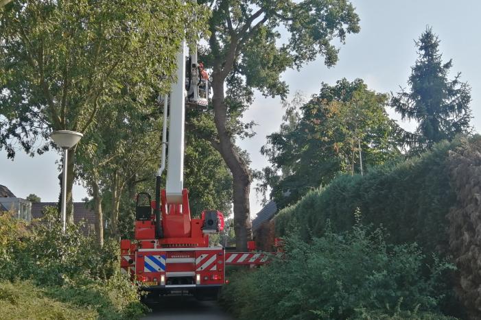 Gevaarlijk hangende tak boven woning verwijdert