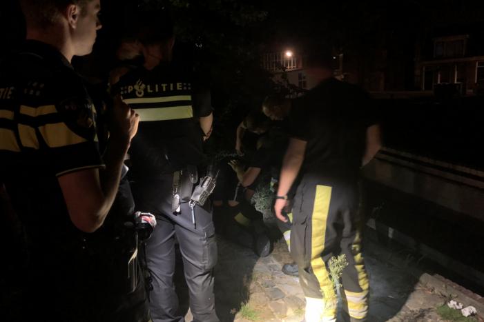 Brandweer redt kat uit gracht