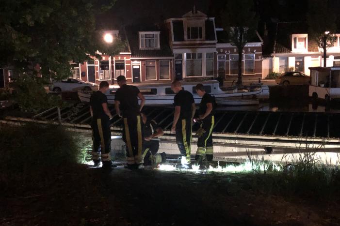 Brandweer redt kat uit gracht