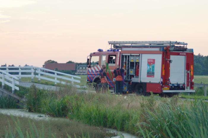 Koe belandt in de sloot