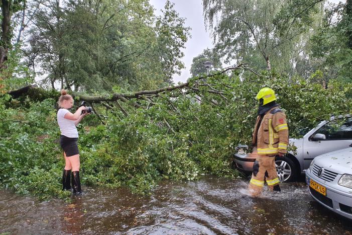 Stuk boom valt op drie geparkeerde auto's