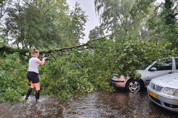Stuk boom valt op drie geparkeerde auto's