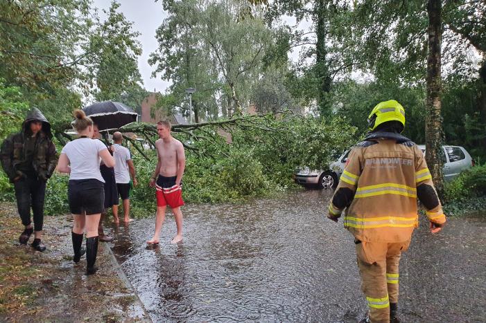 Stuk boom valt op drie geparkeerde auto's