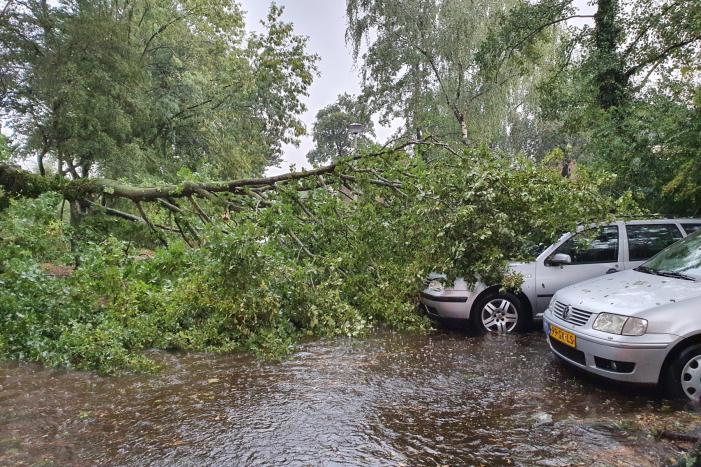 Stuk boom valt op drie geparkeerde auto's