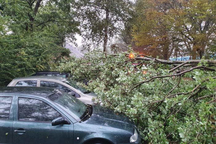 Stuk boom valt op drie geparkeerde auto's