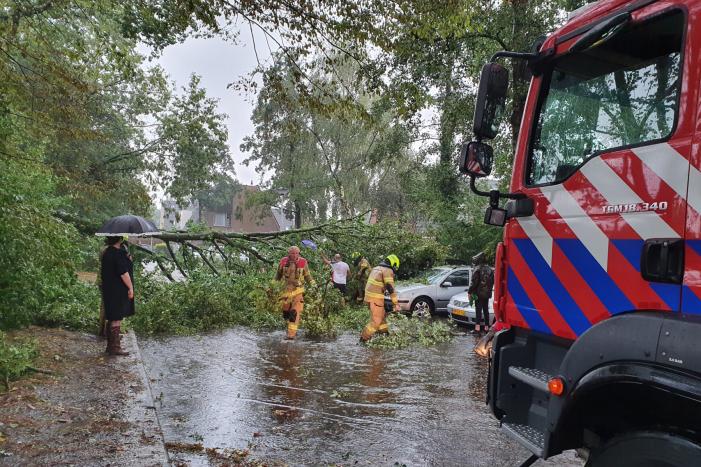 Stuk boom valt op drie geparkeerde auto's
