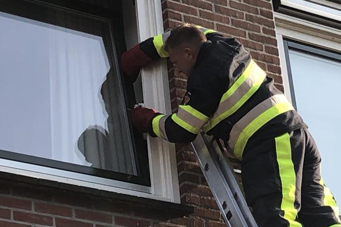 Kat vast tussen klapraam