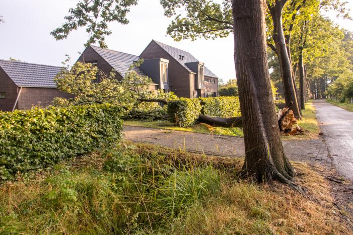 Amersfoort geteisterd door schades na hoosbuien