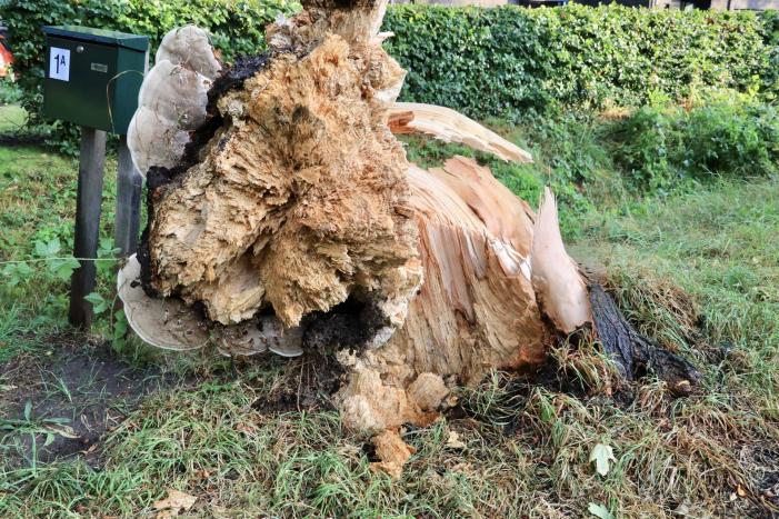 Amersfoort geteisterd door schades na hoosbuien