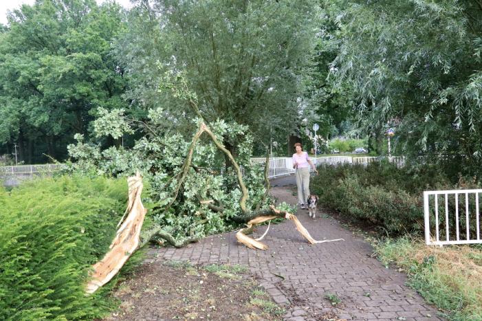 Amersfoort geteisterd door schades na hoosbuien