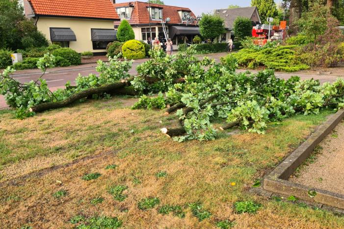 Weg afgesloten doordat takken afbreken