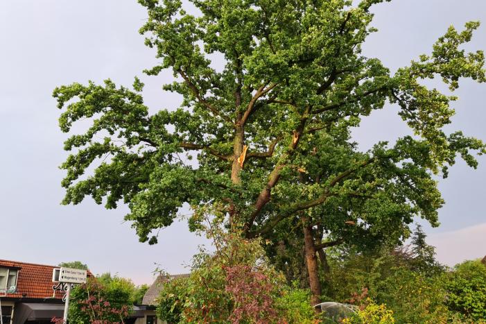 Weg afgesloten doordat takken afbreken