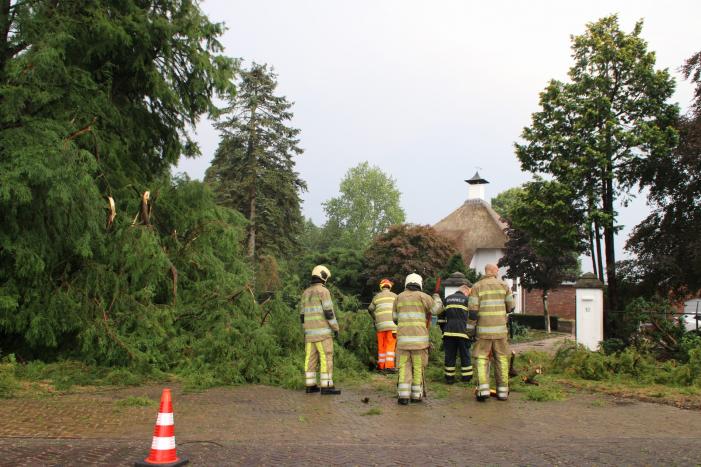 Omgewaaide boom blokeert oprit woning