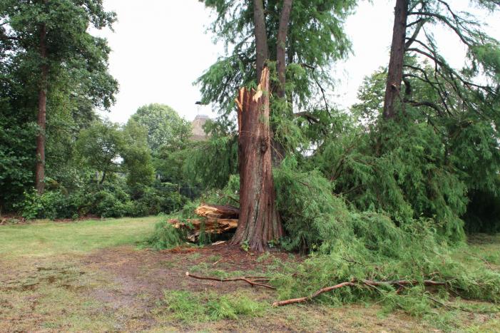Omgewaaide boom blokeert oprit woning