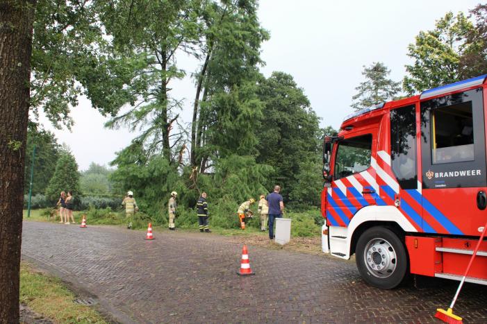 Omgewaaide boom blokeert oprit woning