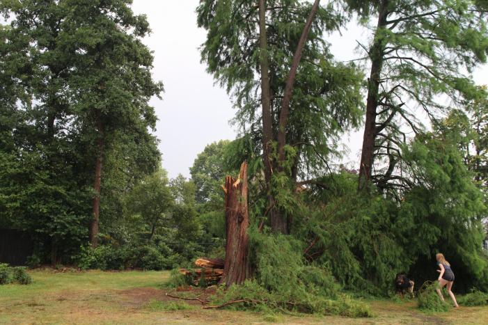 Omgewaaide boom blokeert oprit woning